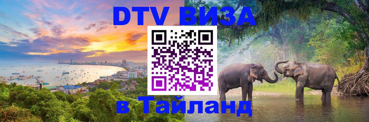 Оформление DTV визы под ключ: стоимость и тарифы, только загранпаспорт - 